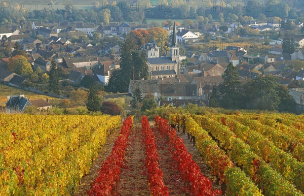 Santenay, Côte-d'Or