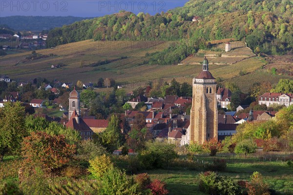 Arbois, Jura