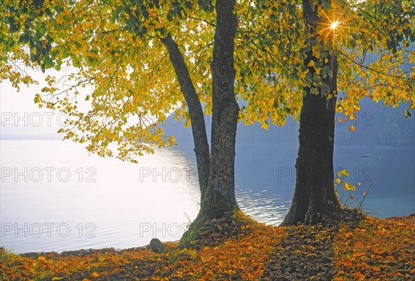 Le lac de Chalain, Jura