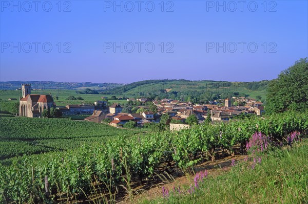 Fuissé, Saône-et-Loire