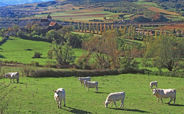 Landscape of Burgundy towards Cluny
