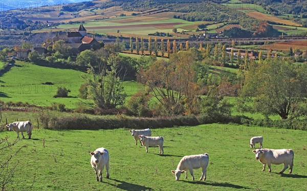 Paysage de Bourgogne vers Cluny