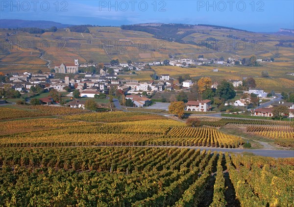 Pouilly-Fuissé, Saône-et-Loire