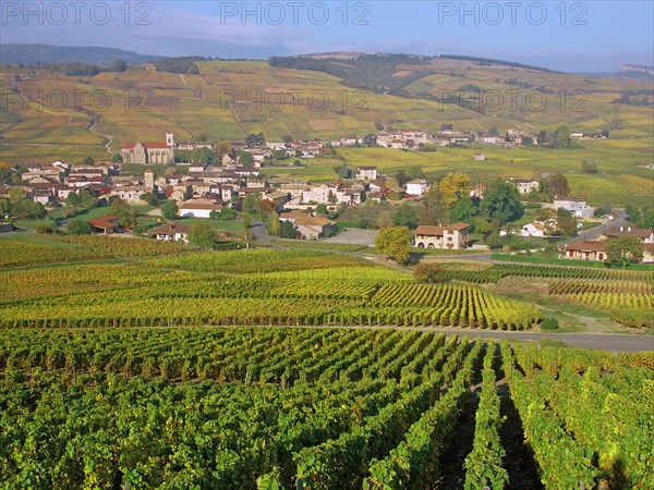 Pouilly-Fuissé, Saône-et-Loire