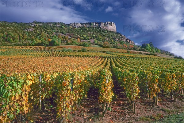 Solutré-Pouilly, Saône-et-Loire