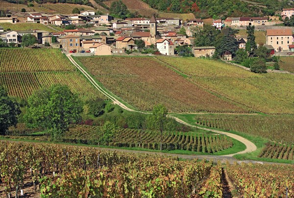 Solutré, Saône-et-Loire