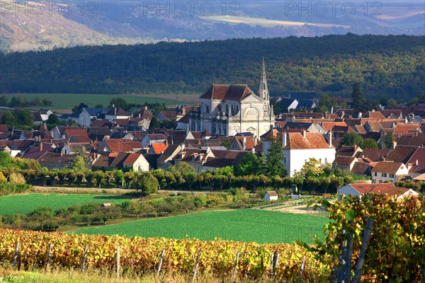 Coulanges-la-Vineuse, Yonne