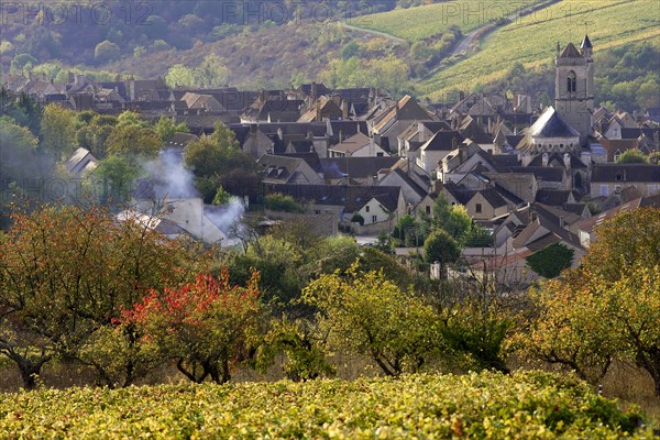 Irancy, Yonne