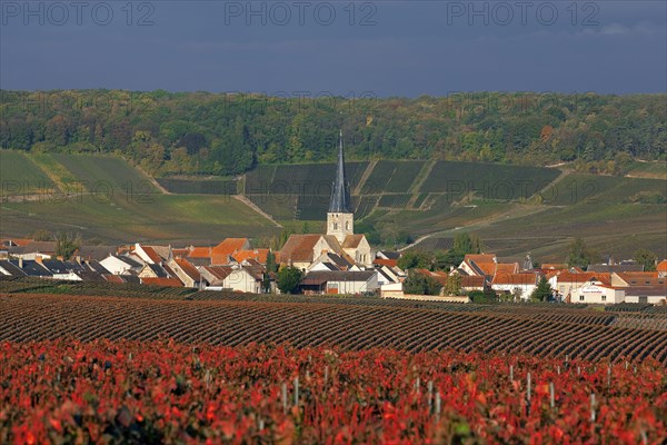 Chamery, Marne