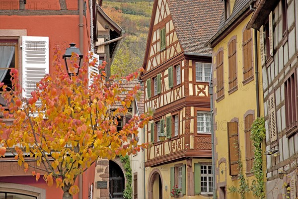 Kaysersberg, Haut-Rhin