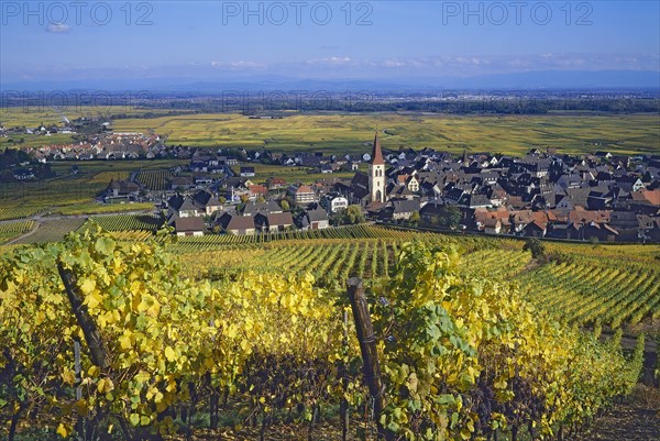 Ammerschwihr, Haut-Rhin