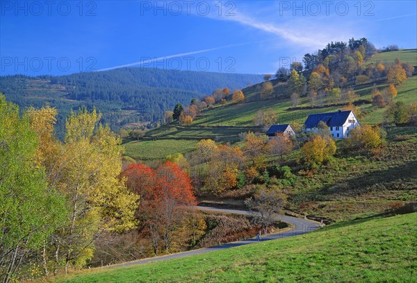 Orbey, Haut-Rhin