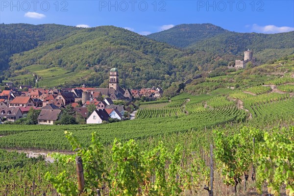 Kaysersberg, Haut-Rhin