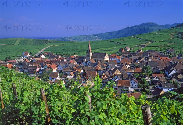 Niedermorschwihr, Haut-Rhin