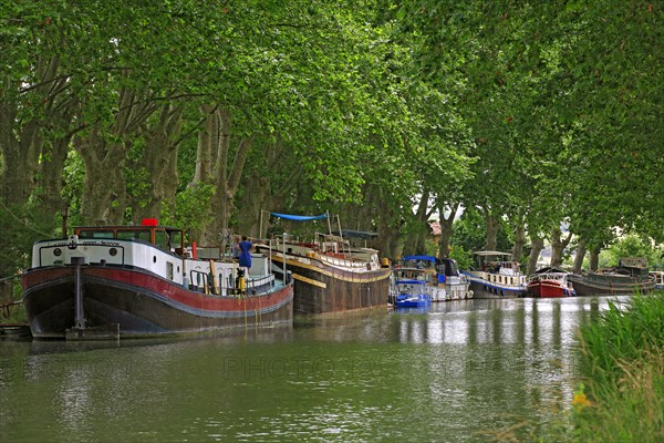 The Canal du Midi, Hérault