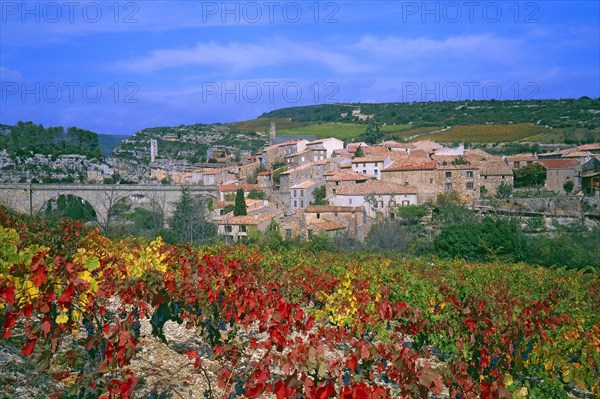 Minerve, Hérault