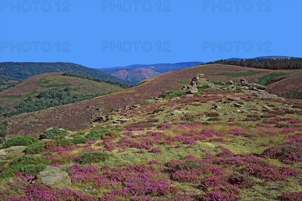 Landscape of the Cevennes