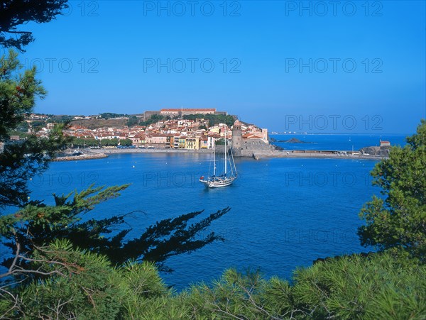 Collioure, Pyrénées-Orientales