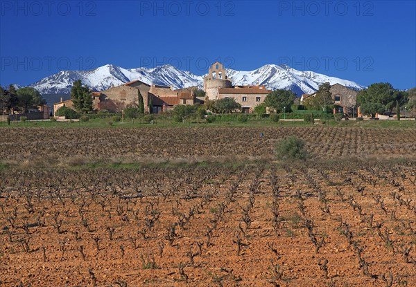 Sainte-Colombe-de-la-Commanderie, Pyrénées-Orientales