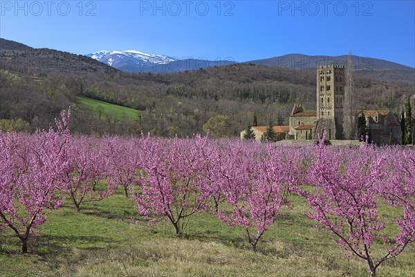 Saint-Michel de Cuxa Abbey, Pyrénées-Orientales