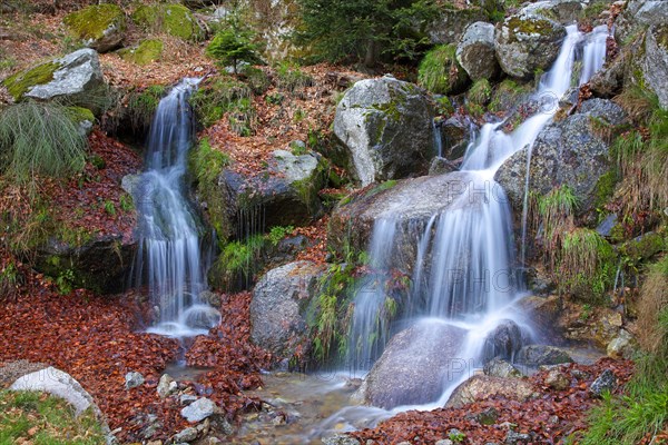 Cascade au pied du mont Lozère