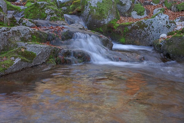 Waterfall, Lozère