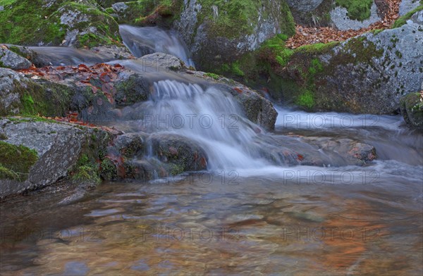 Waterfall, Lozère