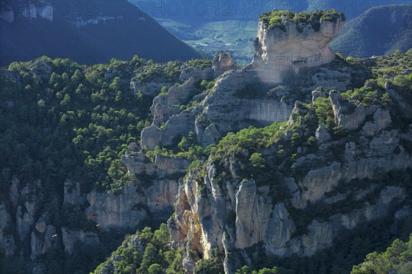 Le Rosier, Aveyron