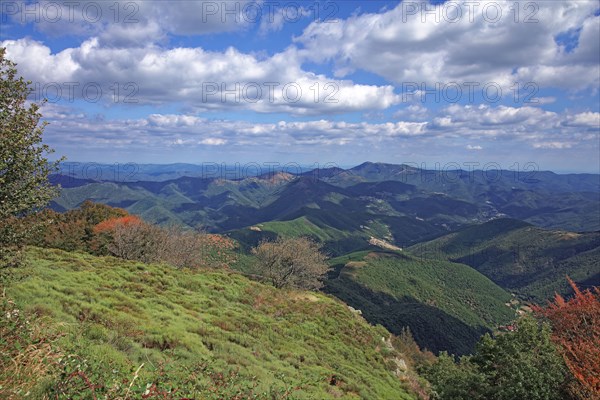 Massif de l'Aigoual, Gard