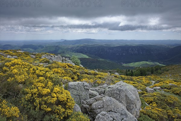 Massif de l'Aigoual, Gard