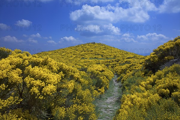 Vialas, Lozère