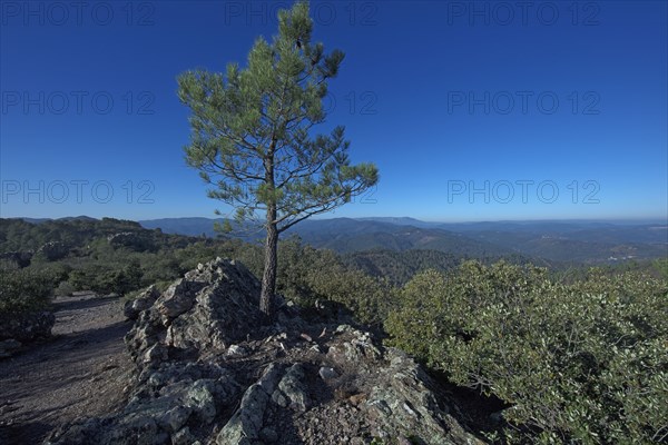 Landscape of Mont Lozère