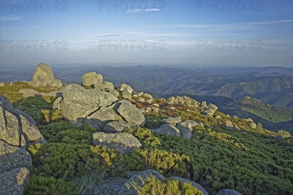 Massif du mont Lozère, Lozère