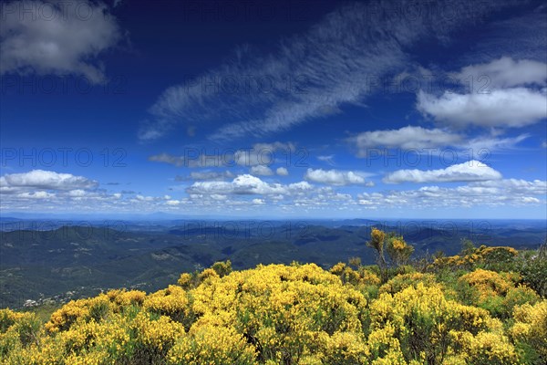 Massif du mont Lozère, Lozère