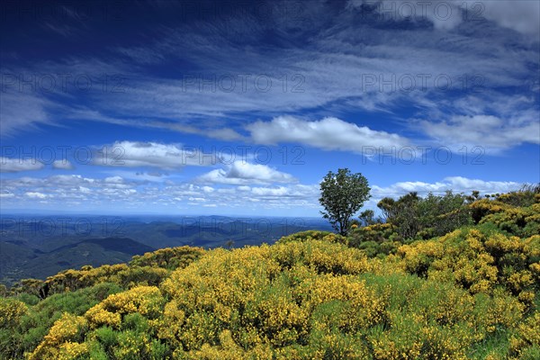 Massif du mont Lozère, Lozère