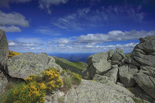 Vialas, Lozère