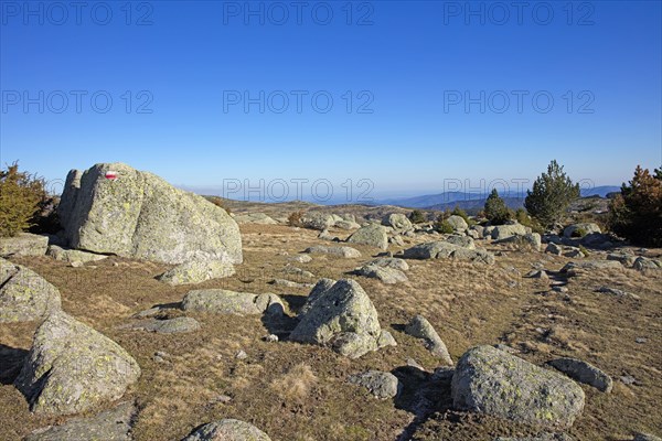 Mont-Lozère, Lozère