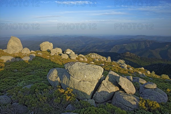 Massif du Mont Lozère, Lozère