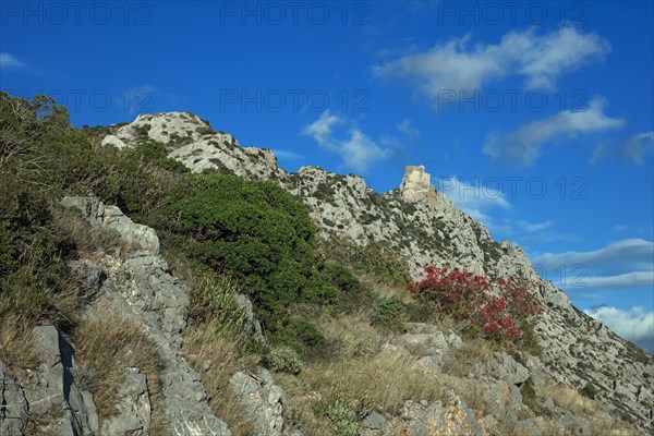 Château de Quéribus, Aude