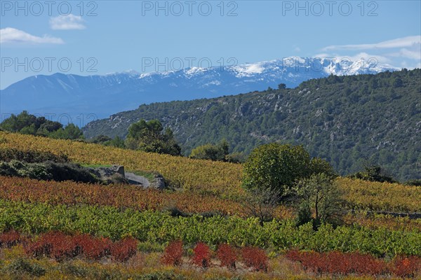 Vingrau, Pyrénées-Orientales