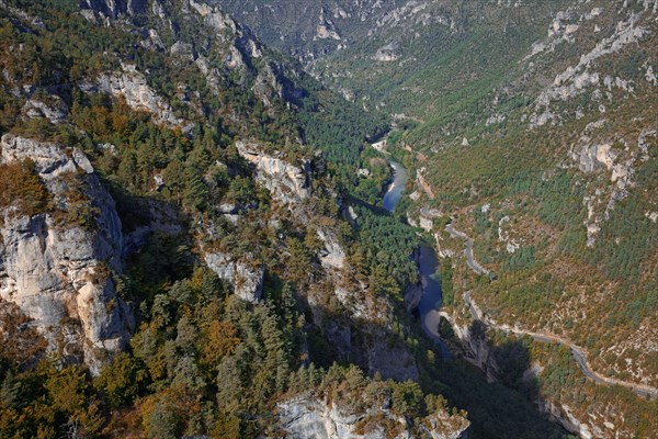 Les gorges du Tarn depuis le causse Méjean, Lozère