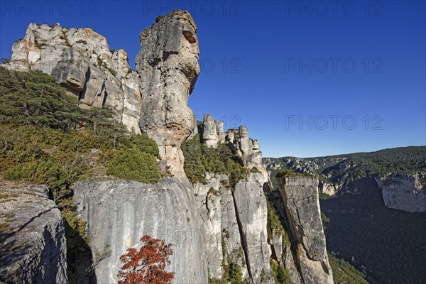 Jonte gorges, Aveyron