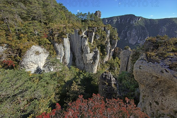 Jonte gorges, Aveyron