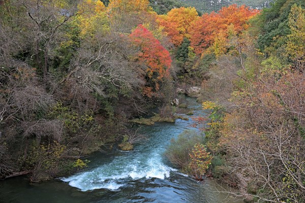 Gorges de la Vis, Gard