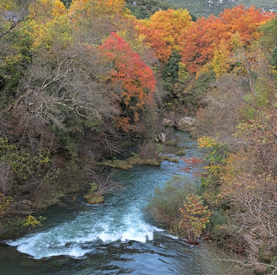 Gorges de la Vis, Gard