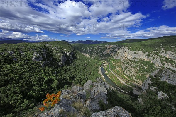 Saint-Bauzille-de-Putois, Hérault