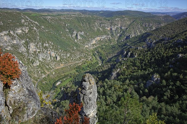 Gorges du Tarn, Lozère