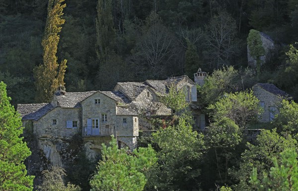 Le Rozier, Lozère