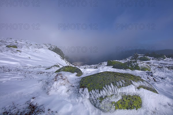 Le mont Lozère en hiver, Lozère