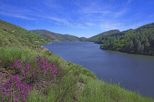 Lake Villefort, Lozère